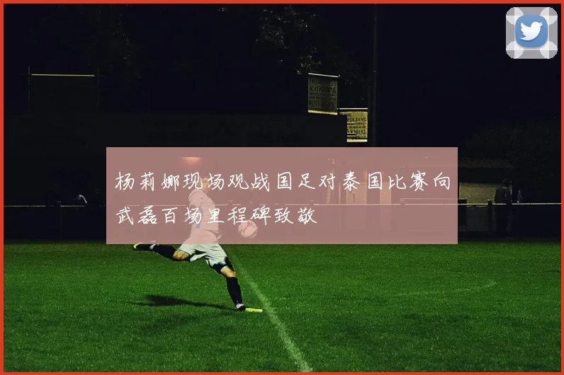 杨莉娜现场观战国足对泰国比赛向武磊百场里程碑致敬
