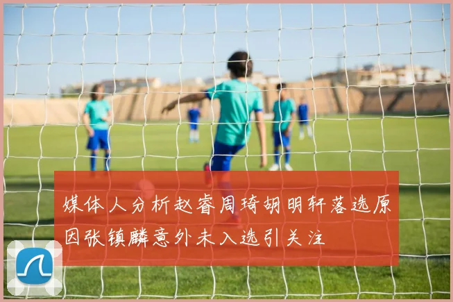 媒体人分析赵睿周琦胡明轩落选原因张镇麟意外未入选引关注